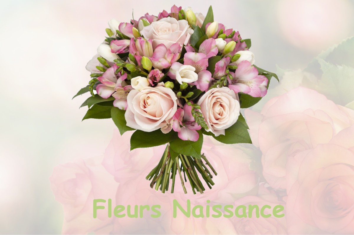 fleurs naissance LE-LOROUX-BOTTEREAU